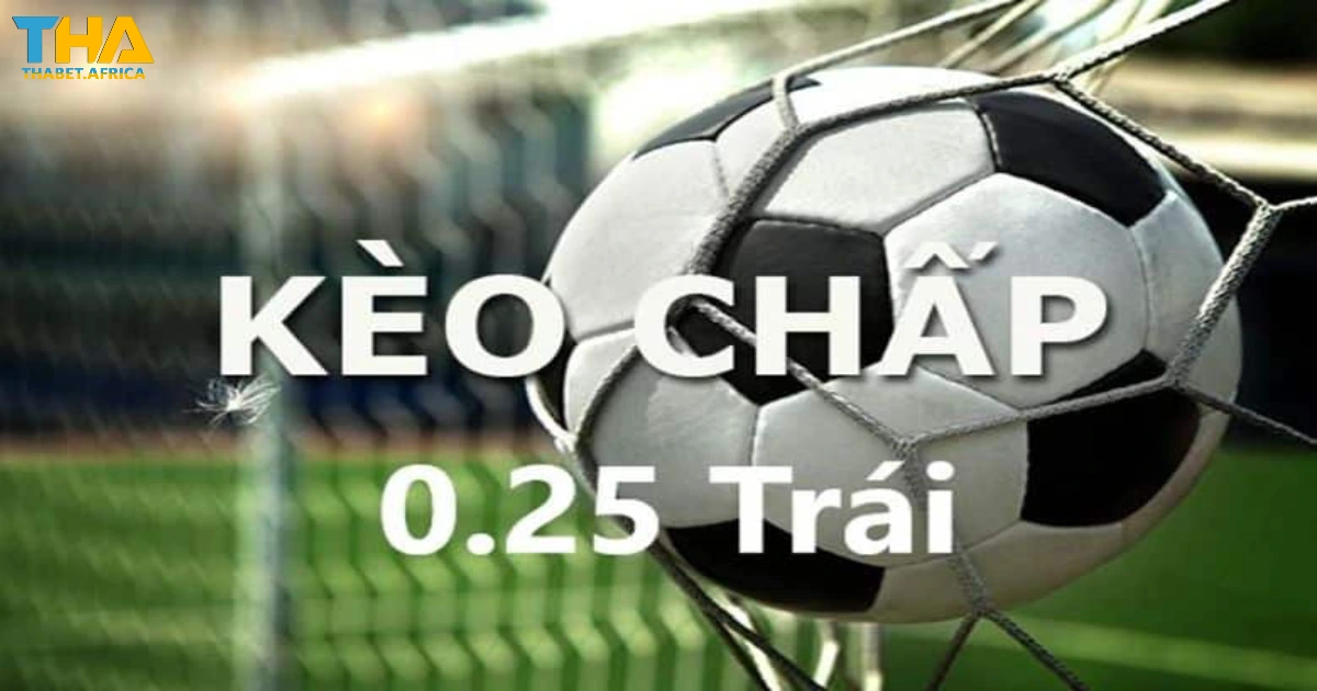 Kèo Chấp 0.25 Là Gì? Cách Đọc Kèo & Đặt Cược Tại Thabet 2 Khi Nào Nhà Cái Đưa Ra Kèo Chấp 0.25?