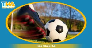 Khi Nào Nên Chọn Kèo Chấp 2.5?
