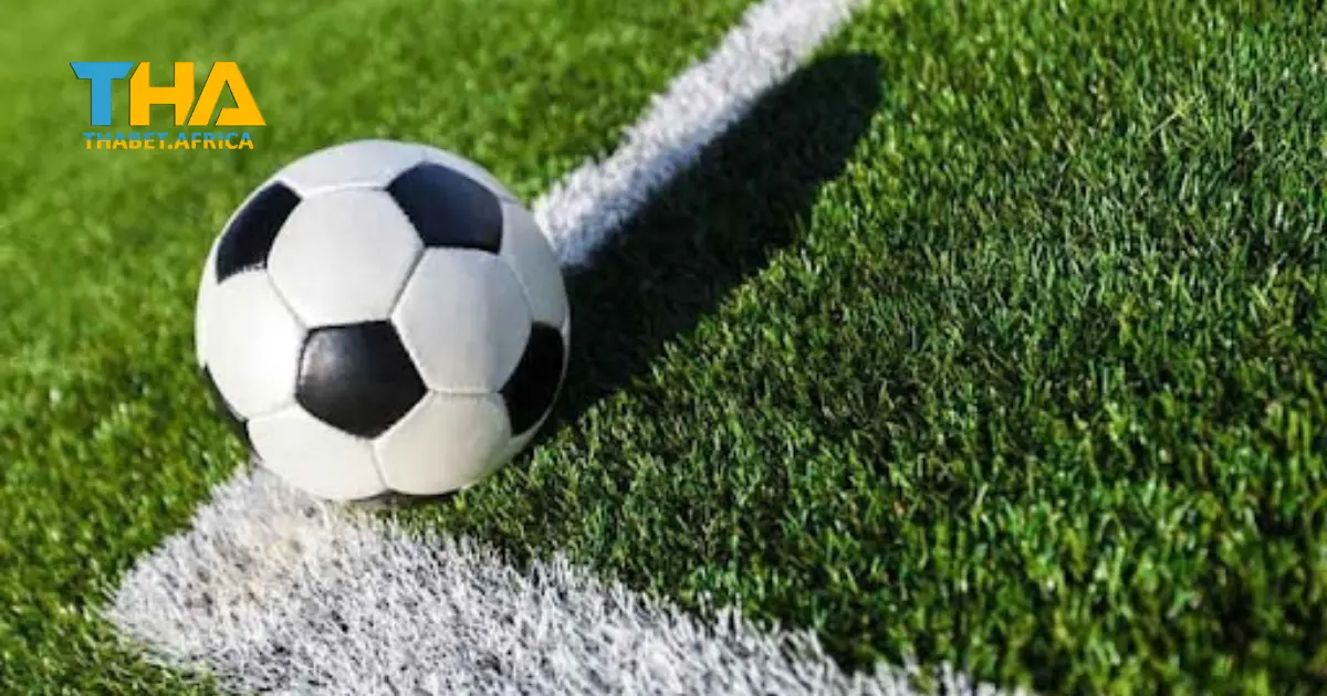 Kèo Chấp 2.5 Là Gì? Cách Đọc Kèo & Mẹo Cược Tại Thabet 3 Tầm quan trọng của thống kê