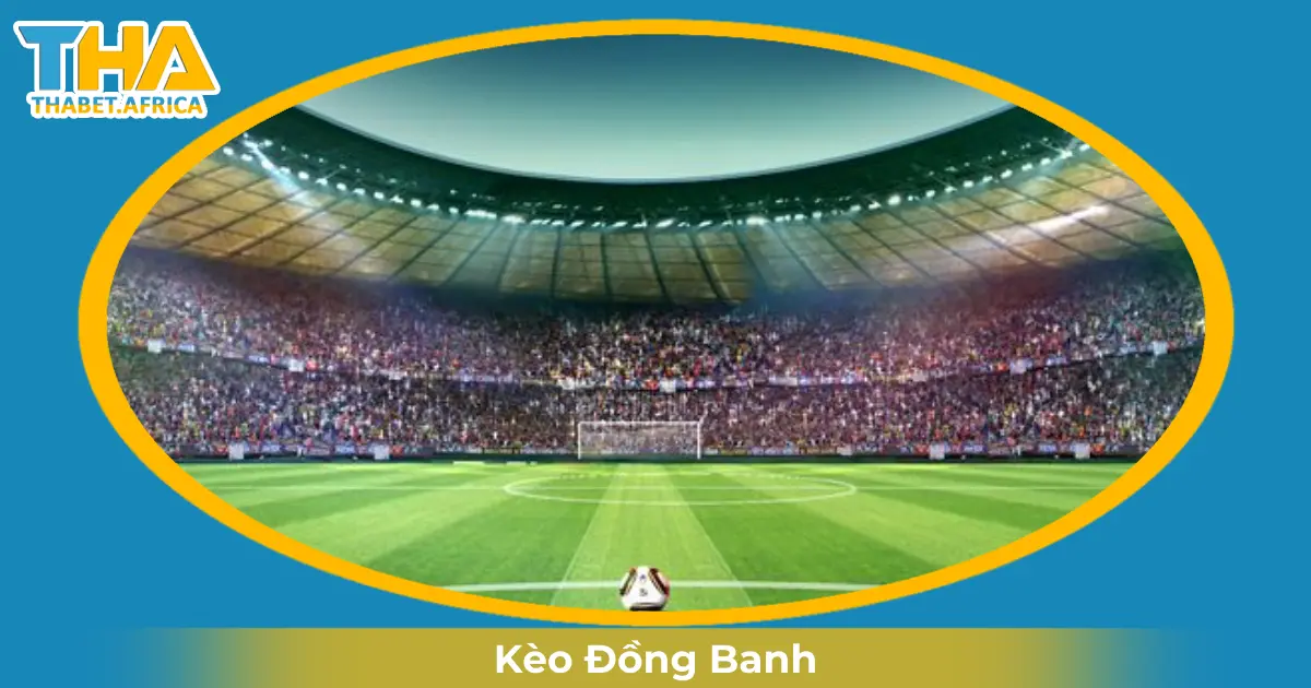 Kèo Đồng Banh Là Gì? Hướng Dẫn Cược & Đọc Kèo Tại Thabet 2 Khi Nào Nhà Cái Đưa Ra Kèo Đồng Banh?